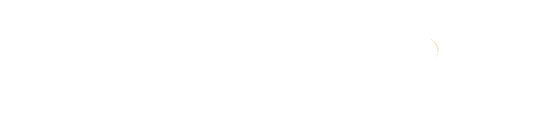 FunniFin logo